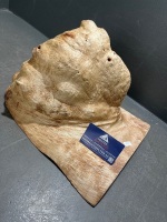 Hardwood slab hollow and burl