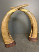 Pair engraved buffalo horns dragon phoenix tiger - 3