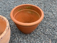 2 x Large Terracotta Pots - 3