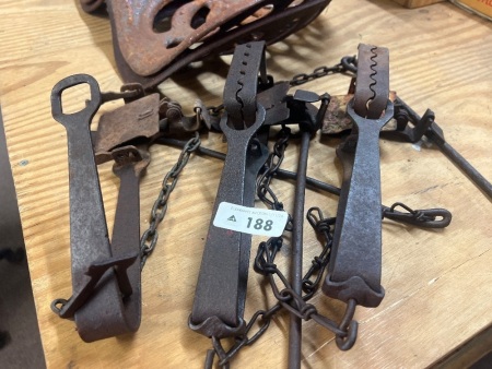 Steel rabbit traps - gin traps