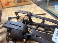 Steel rabbit traps - gin traps - 2