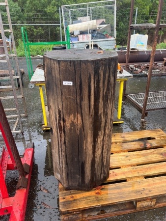 Large Heavy Timber Log