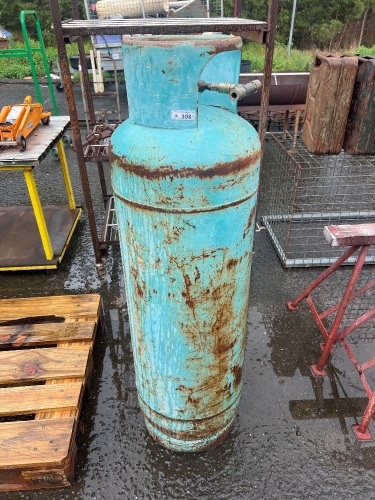Large Gas Cylinder with Quick Connect Air Attachment