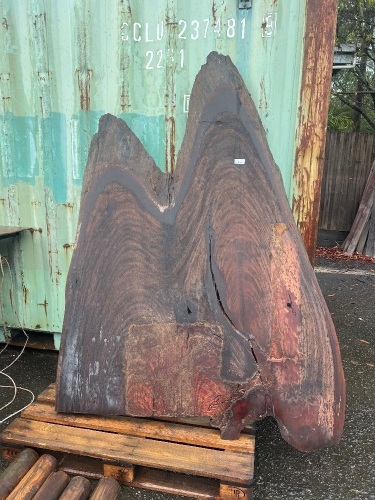 Large Irregular Wooden Slab