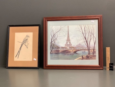 Framed Signed Bird Drawing + Eiffel Tower Print
