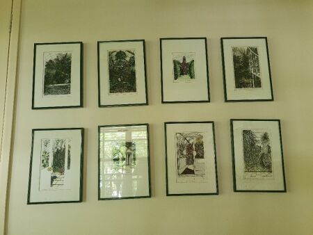 Set of 8 Framed Prints of Kew Gardens