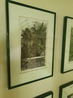 Set of 8 Framed Prints of Kew Gardens - 2