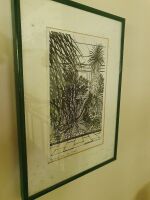 Set of 8 Framed Prints of Kew Gardens - 6