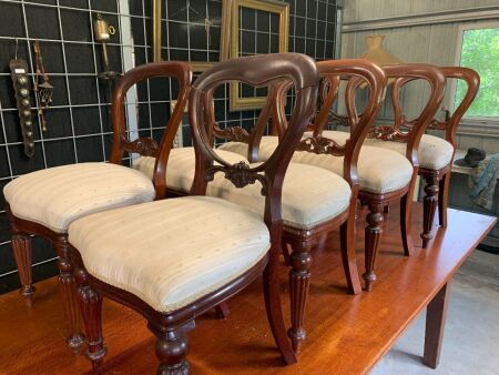 8 Red Cedar Balloon Back Upholstered Dining Chairs - Some Need Attention