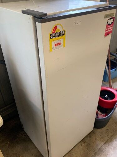 Frigidaire Upright Fridge 190l