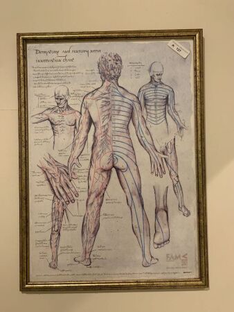 Framed Print of Human Body
