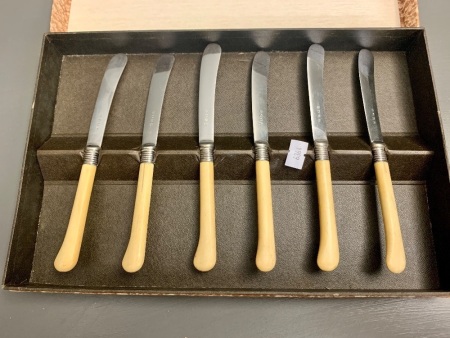 Boxed Set of Six Vintage Bone Handled Butter Knives