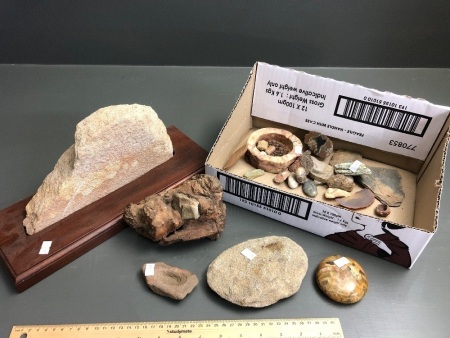 Asstd Box Lot of Interesting Rocks, inc Petrified Wood, Agates etc