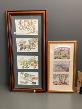 Framed Set of Celia Rosser Flora Prints + Framed Set from NSW Art Gallery