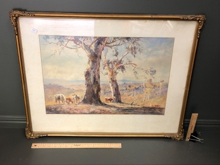 Vintage Framed Watercolour Cattle & Gum Trees - Signed H.Martin - Australian Artist 1891-1944