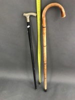 2 Walking Sticks