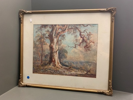 Vintage Framed Watercolour Large Gum - Signed H.Martin - Australian Artist 1891-1944