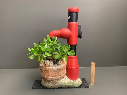 Concrete Garden Water Pump Pot with Jade Tree