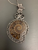 Large Sterling Silver Mounted Ammonite Pendant on Chain - 3