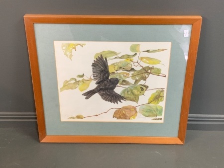 Framed Signed Print of Old Yellow - Chatham Island Black Robin