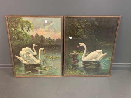 Pair of Vintage Mid Century Framed Swan Prints