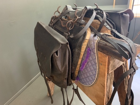 Vintage c1930's Leather Pack Saddle & Bags, Groundsheet, Swag Mattress + Rustic Stand