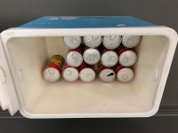 Vintage Esky + 13 Brisbane Beer Cans - 2