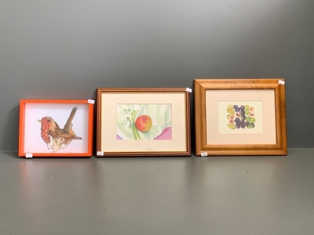 3 x Framed Pictures - The Map of the Robin, Apples, Figs,