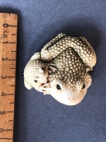 Antique Japanese Carved Ivory Netsuke Depicting Mother & Baby Frog with Beaded Eyes. 2 Character Signature to Base - Baby Frog Well Rubbed - 6