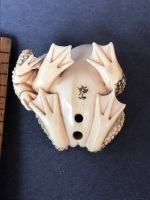 Antique Japanese Carved Ivory Netsuke Depicting Mother & Baby Frog with Beaded Eyes. 2 Character Signature to Base - Baby Frog Well Rubbed - 7