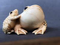 Antique Japanese Carved Ivory Netsuke Depicting Mother & Baby Frog with Beaded Eyes. 2 Character Signature to Base - Baby Frog Well Rubbed - 9