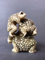 Antique Japanese Intricately Carved Ivory Netsuke Depicting 3 Graduated Frogs with Beaded Eyes. 2 Character Signature at Base - 7