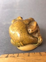 Vintage Japanese Carved Ivory Netsuke Depicting 2 Frogs on a Rock Beaded Eyes and Painted Finish. 2 Character Signature at Base - 4