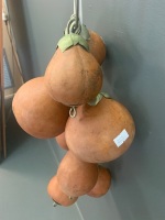 Handcrafted South American Gourd Decoration - 4