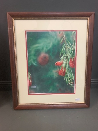 Deep Red Framed Hand Signed and Numbered Ltd Edition Print by Greg Postle