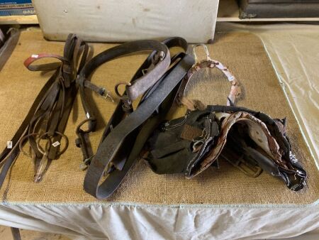 Asstd Lot of Vintage Leather Horse Tack + Saddle Tree