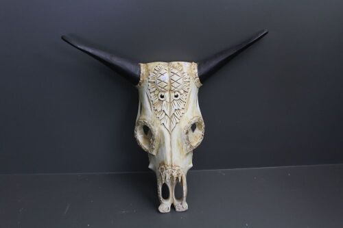 Contemporary Timber Carved Cow's Skull