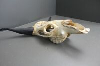 Contemporary Timber Carved Cow's Skull - 4