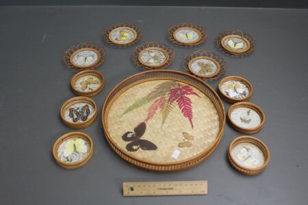 Vintage Bar Set of Bamboo Drinks Tray and Coasters All Inset with Butterflies Behind Glass