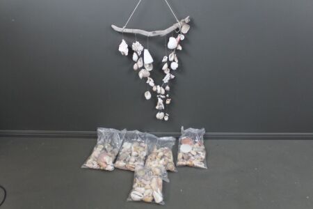 Large Lot of Asstd Sea Shells Sorted into Packs + Shell Hanging Mobile