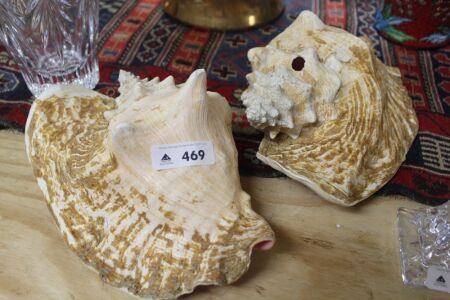 2 x Large Vintage Shells