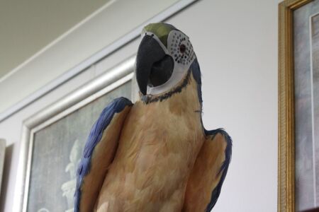 Feathered Styrofoam Macaw