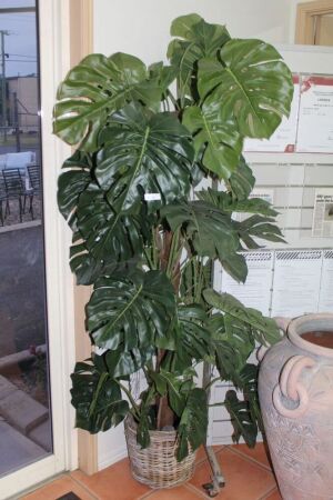 Faux Staked Monstera in Wicker Basket