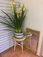 Cane Framed Mirror, Round Side Table + Faux Orchids in Timber Bucket