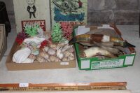 Asstd 2 Box Lot of Sea and Turtle Shells, Horns, Coral Etc