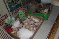 Asstd 2 Box Lot of Sea and Turtle Shells, Horns, Coral Etc - 2