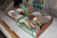 Asstd 2 Box Lot of Sea and Turtle Shells, Horns, Coral Etc - 3