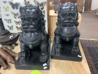 Pair of Large Black Painted Foo/Temple Dogs - 3