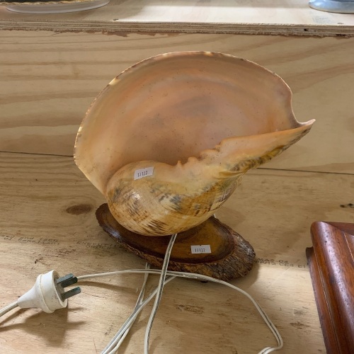 Retro Shell Lamp Mounted on Timber Base