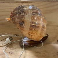 Retro Shell Lamp Mounted on Timber Base - 2